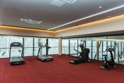 Verkhovyna Resort Medical & Wellness 5*